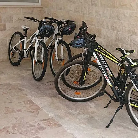 Ana Trogir